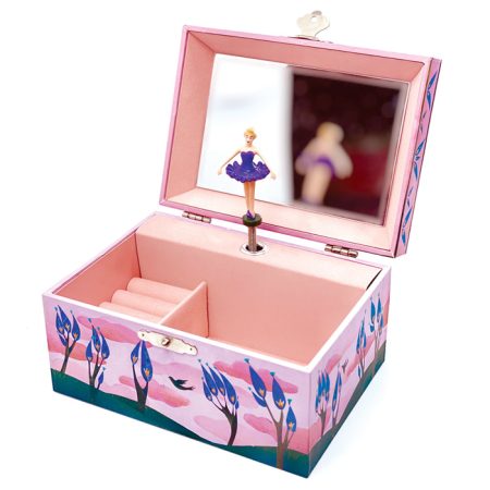 תיבת נגינה - בלרינה באביב ורודה