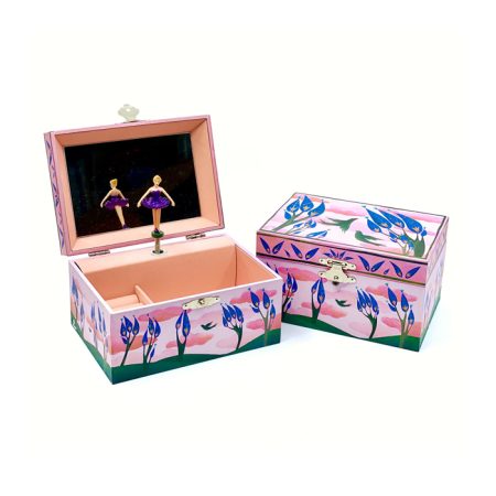 תיבת נגינה - בלרינה באביב ורודה