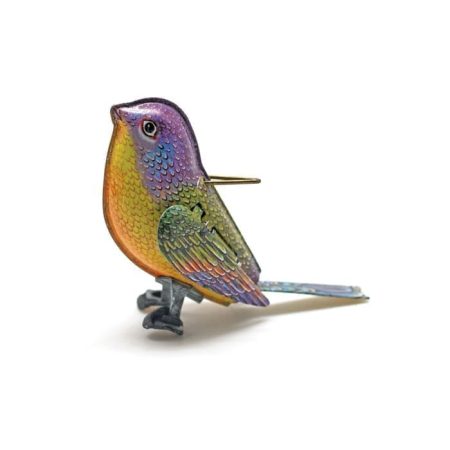 ציפור פח קטנה