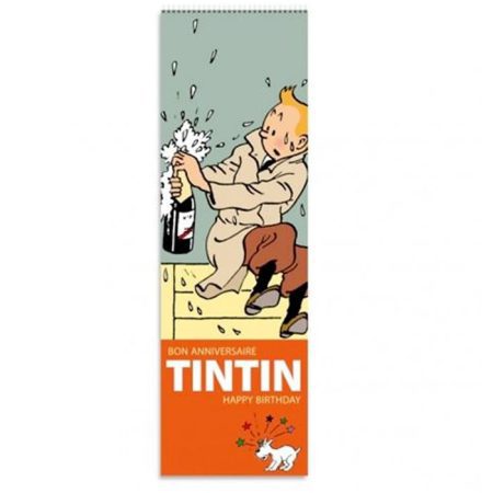 לוח שנה טין טין