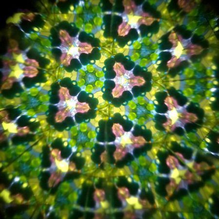 קליידוסקופ חרוזים - יער