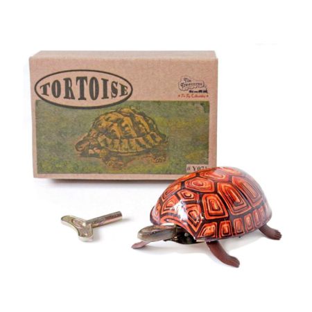 צעצוע פח - צב